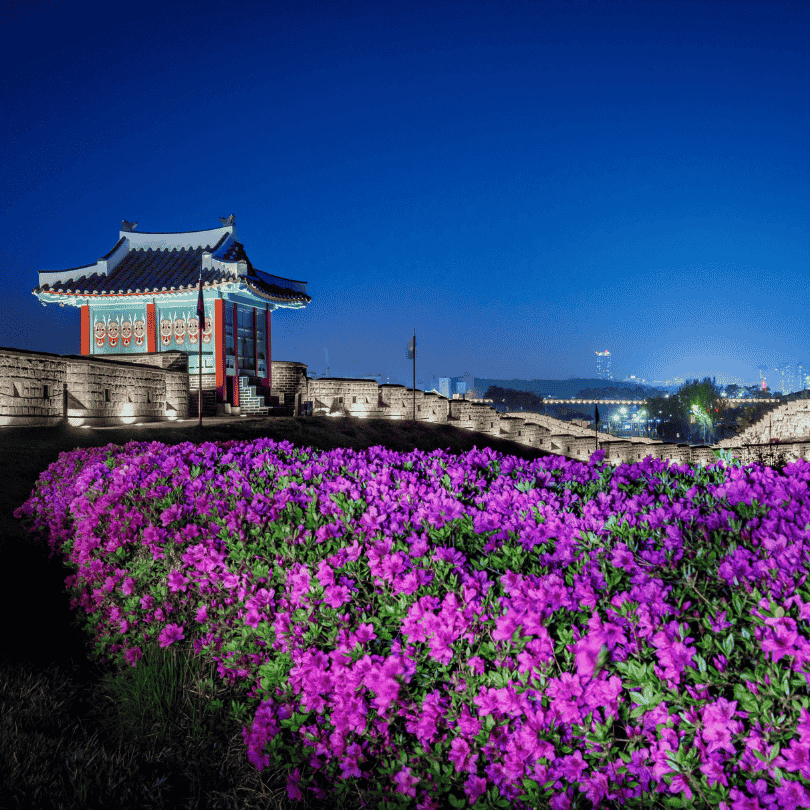 Next Stop Korea, RFP 2026